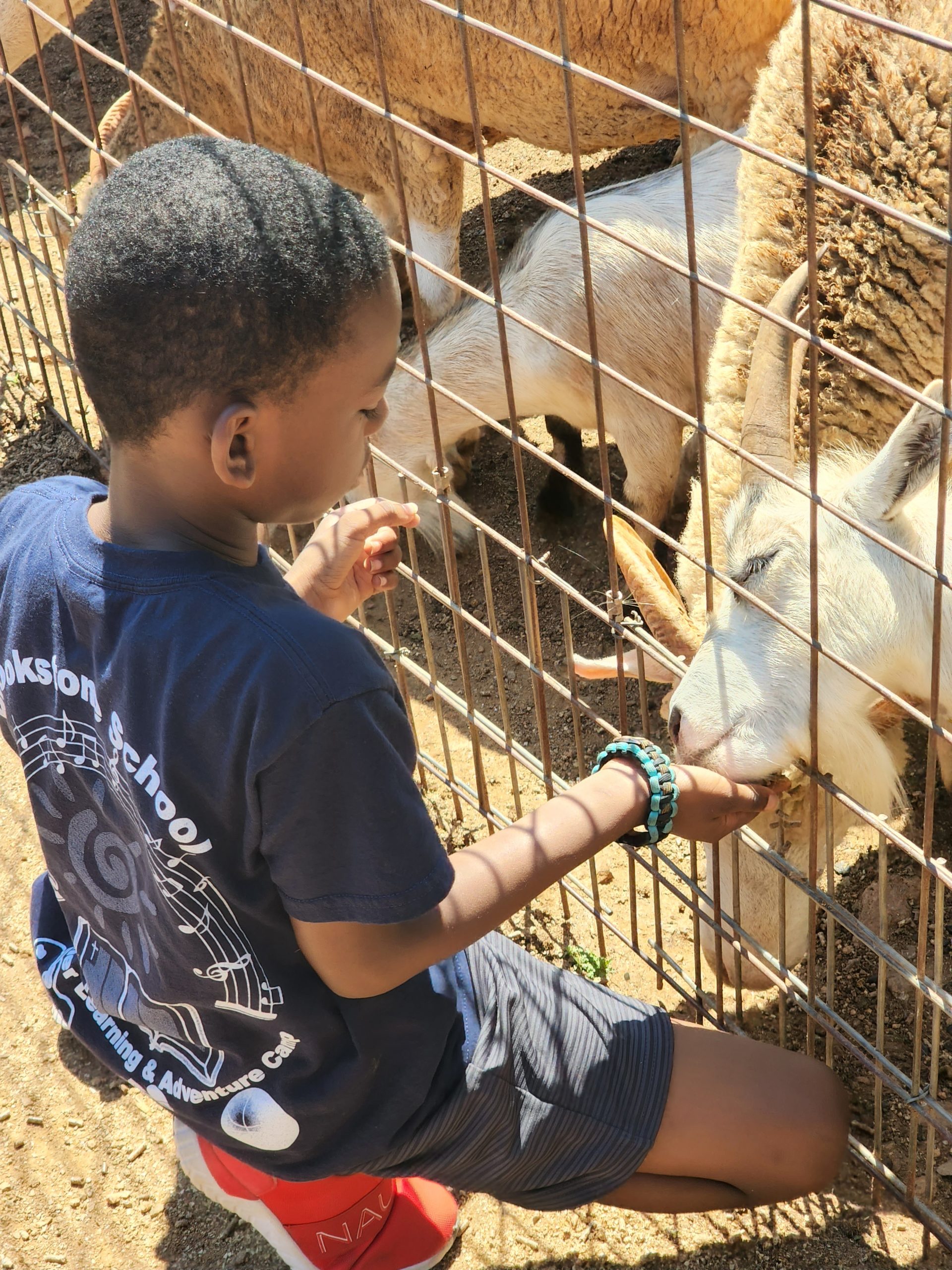 Summer Camp Photo Gallery
